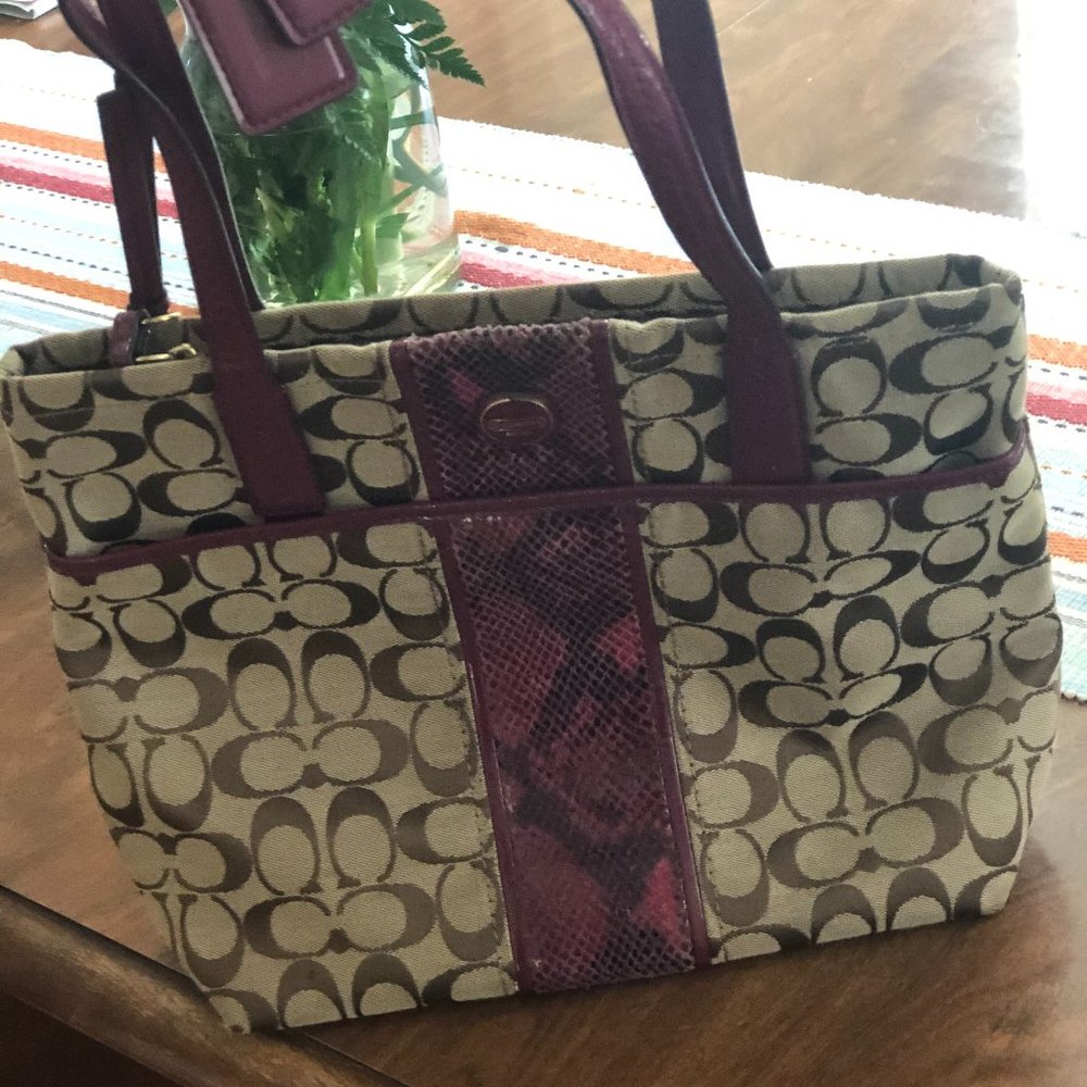 COACH Signature Stripe Python Tote